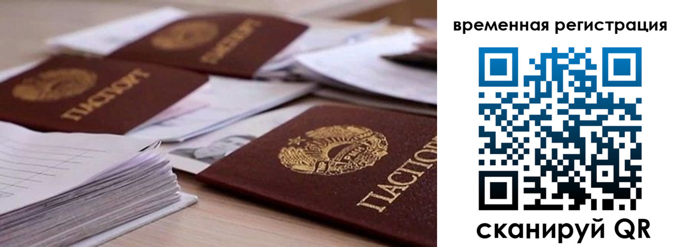временная регистрация поиск в Московской области